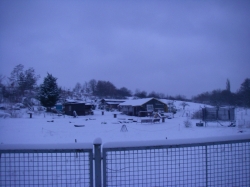 winter-09-10-012