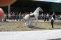 Agra-Friedersdorf-2012-85