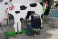 jahr-2013-088