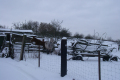 winter-09-10-036